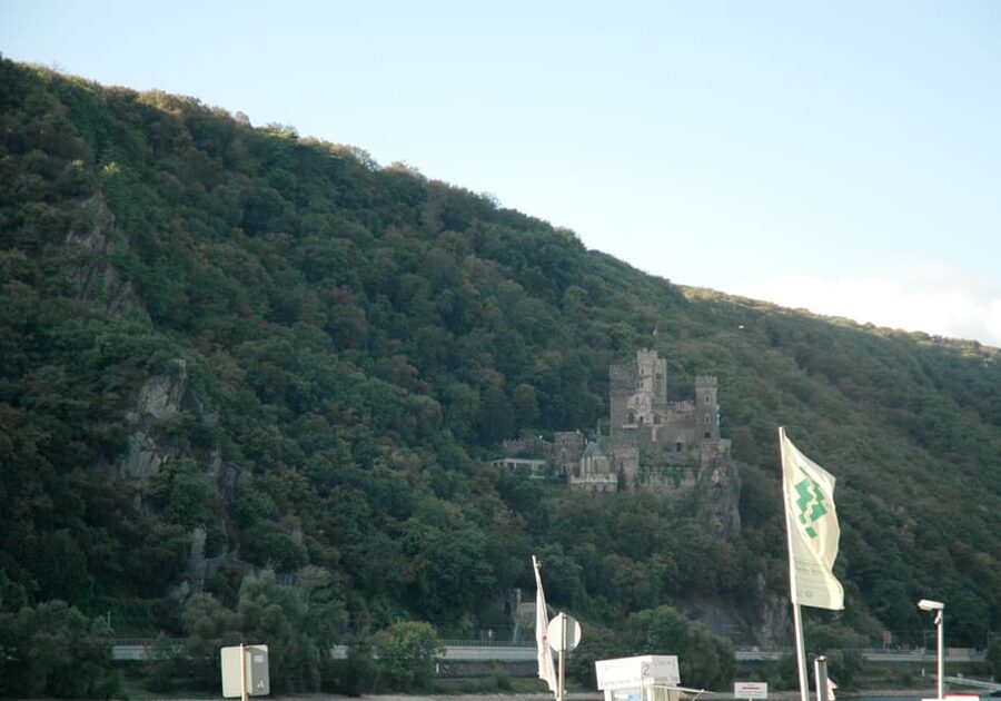 Heidelberg and Rhine Combination Tour from Frankfurt - Should You Book This Heidelberg and Rhine Combination Tour?