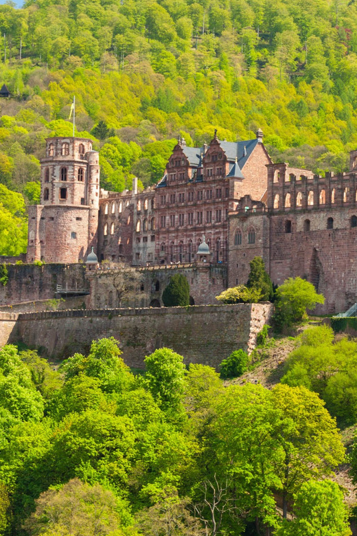 Heidelberg and Rhine Combination Tour from Frankfurt - Heidelberg Castle Admission: Courtyard, Terrace, and a Giant Wine Barrel