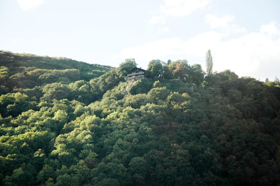 Heidelberg and Rhine Combination Tour from Frankfurt - Rhine Steamer Cruise from Kaub: The Best View in the Whole Package