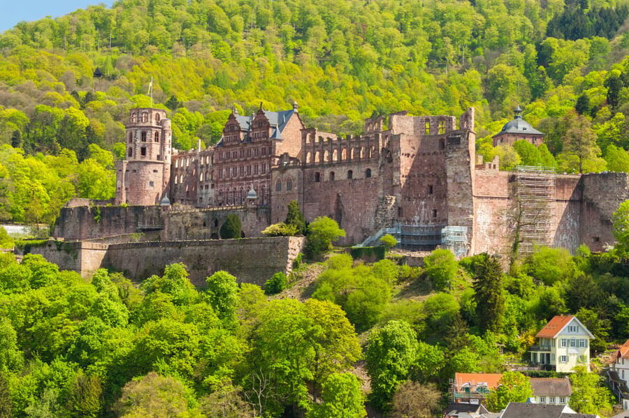 Heidelberg and Rhine Combination Tour from Frankfurt - Value and Price: Is $304 Worth It?