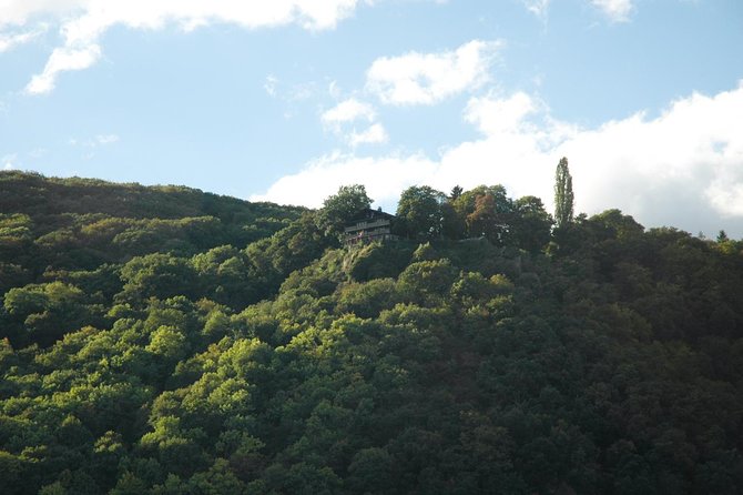 Heidelberg and Rhine Valley Day Trip With Wine Tasting and Dinner from Frankfurt - The Guide and Driver Can Make or Break the Day