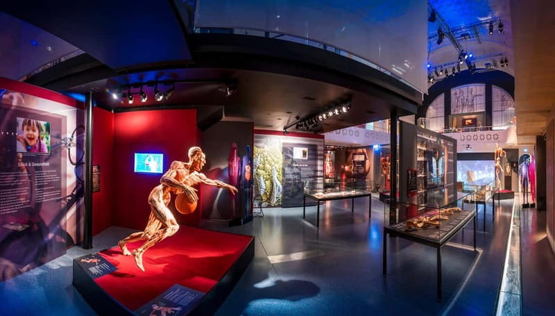 Heidelberg: BODY WORLDS Museum Entry Ticket - Entering BODY WORLDS Heidelberg, Find the Right Building Fast