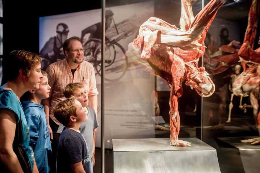 Heidelberg: BODY WORLDS Museum Entry Ticket - Accessibility and On-Site Comfort Details