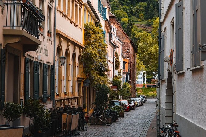 Heidelberg Castle and City Day Tour from Frankfurt - Should You Book This Heidelberg Castle and City Day Tour?