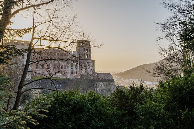 Heidelberg Castle and City Day Tour from Frankfurt - Schloss Heidelberg Courtyard, Ruins, and the Big Wine Barrel