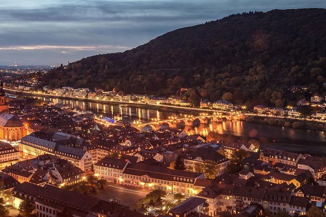 Heidelberg Castle and Old Town Tour from Frankfurt - The guide experience: why the humor and pacing matter