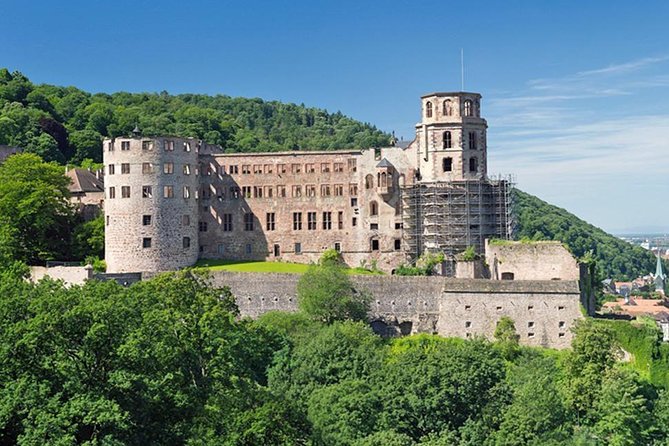 Heidelberg Castle and Old Town Tour from Frankfurt - Price and value: what $154.99 includes, and what you should budget
