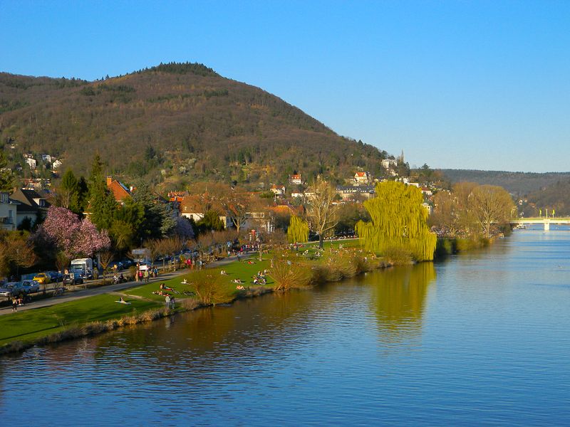 Heidelberg: City of Romance 2-Hour Walking Tour - Who this tour suits best