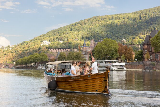 Heidelberg: exclusive private boat trip for up to 12 guests - Key points to know before you go