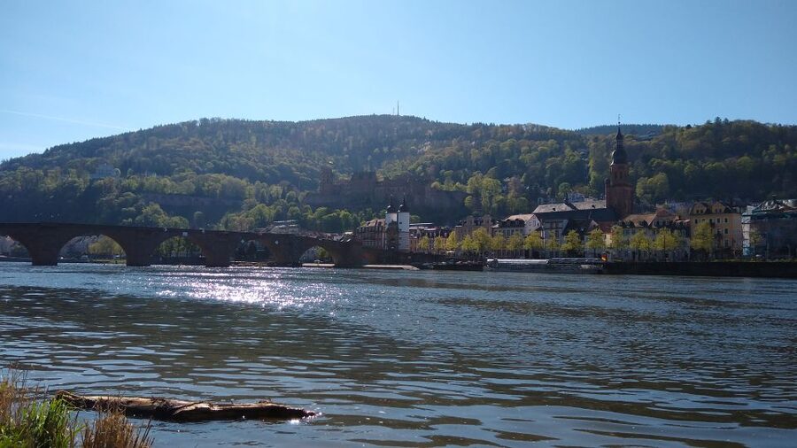 Heidelberg: Guided Bike Tour - Südstadt to Bahnstadt: the real point of starting where locals live