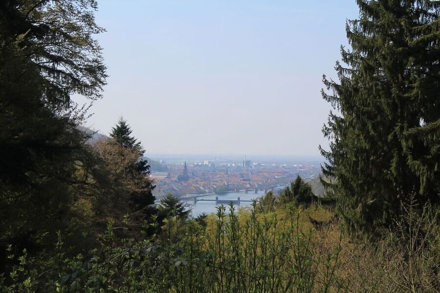 Heidelberg Highlights Segway Tour with Castle - Neckarmünzplatz Start, Old Bridge Crossing, and Instant Neckar Views