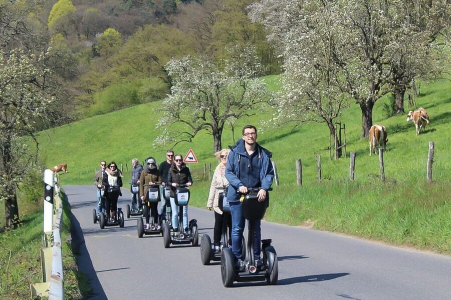 Heidelberg Highlights Segway Tour with Castle - Neuburg Abbey and Köpfel: Big Past, Big Panoramas