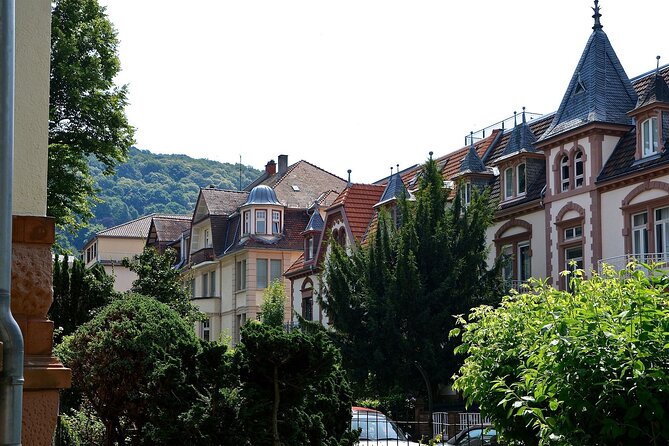 Heidelberg Old Town Private Walking Tour including Castle Visit - Why This Private Heidelberg Old Town + Castle Combo Works