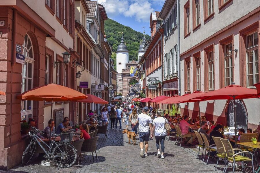 Heidelberg: Old Town Tour Including Castle Visit - Start at the Lion Fountain, then get your bearings fast