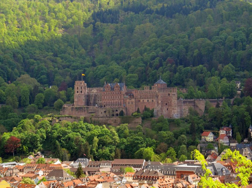 Heidelberg: Old Town Tour Including Castle Visit - The guide experience matters more than you think