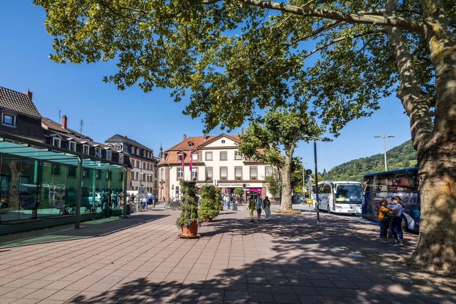 Heidelberg: Sightseeing Bus and Castle Tour - Meeting at Neckarmünzplatz, Tourist Information, Then Moving Fast