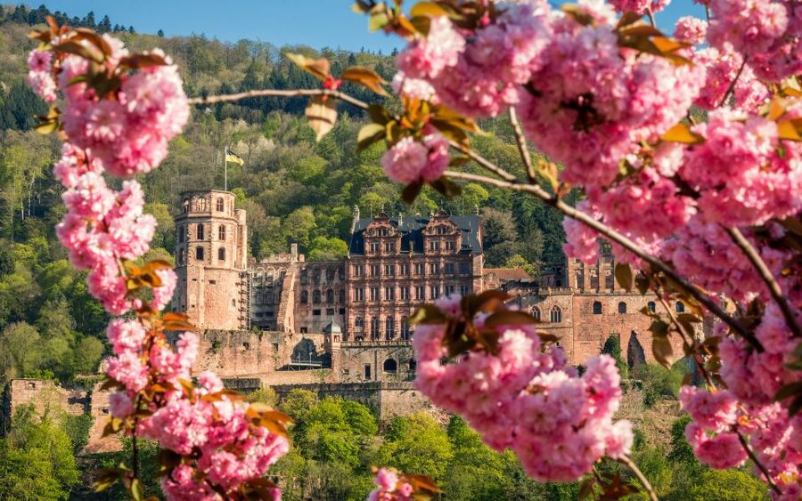 Heidelberg: Sightseeing Bus and Castle Tour - Heidelberg Castle Grounds: Courtyard Views and the Great Tun