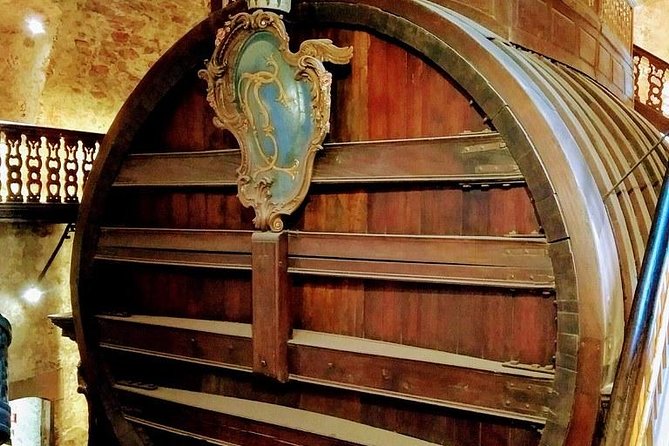 Heidelberg Tour with winetasting. - Who this tour suits best (and who might not love it)