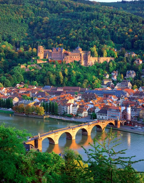 Heidelberg: Walking Tour of the Old Town - Why this 90-minute Old Town walk is a smart Heidelberg move