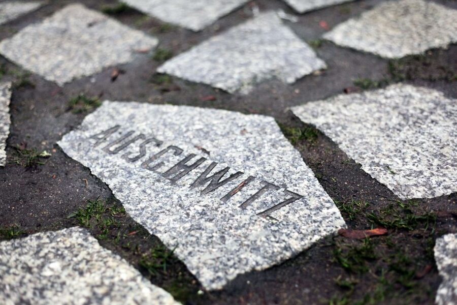 Hitler’s Germany: Berlin During the Third Reich & WWII - Gestapo and SS headquarters area, plus the Topography of Terror break