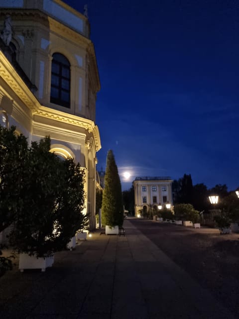 Kassel: Kassel's lost city by night - Practical tips for a smooth night experience