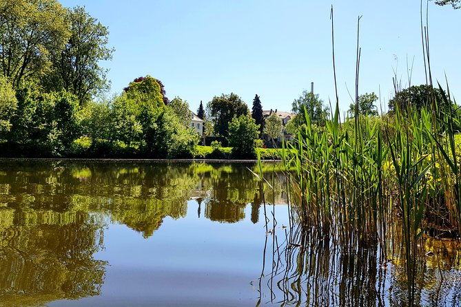 Kayak or SUP tour on the water through Saarbrücken - Timing at 7:00 pm: When the City Looks Best