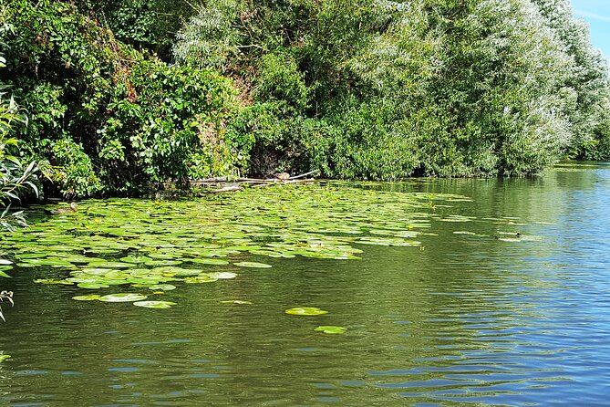 Kayak or SUP tour on the water through Saarbrücken - Price and Value: What $34.92 Buys You