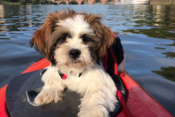 Kayak-Tour in Heidelberg on river Neckar - What to Wear: You Will Get a Little Wet, Plan Like It