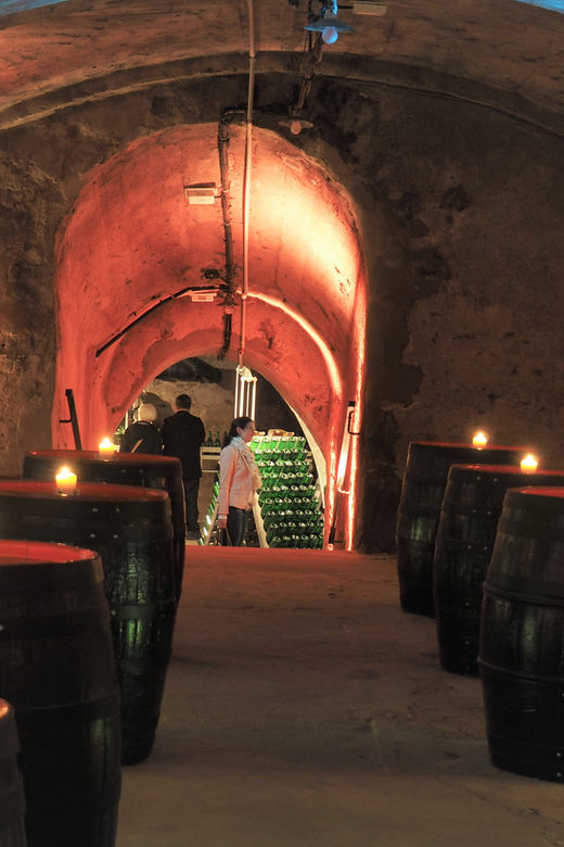 Koblenz: Historical Sparkling Wine Museum Guided Tour - What You’ll Notice in the Cellar, Even If You Know Nothing About Wine