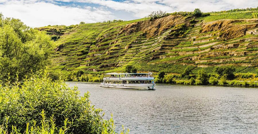 Koblenz: Panoramic Cruise on Moselle River to Winningen - Key moments you will not want to miss