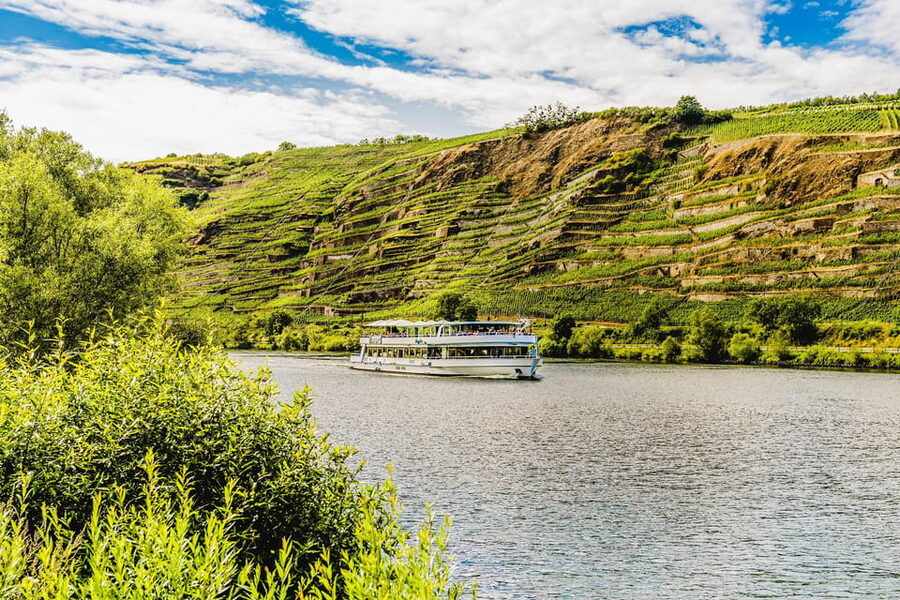 Koblenz: Panoramic Cruise on Moselle River to Winningen - Wine on board, and how to treat it
