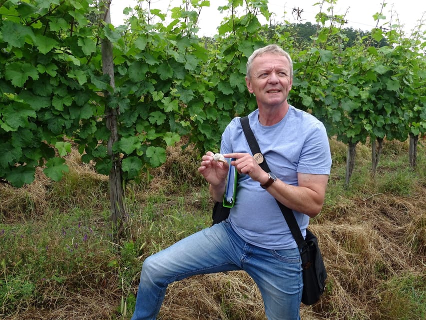 Koblenz: The Living Vineyard, Nature & Wine Enjoyment - Napoleon’s Footsteps, Now With Wine Knowledge Added