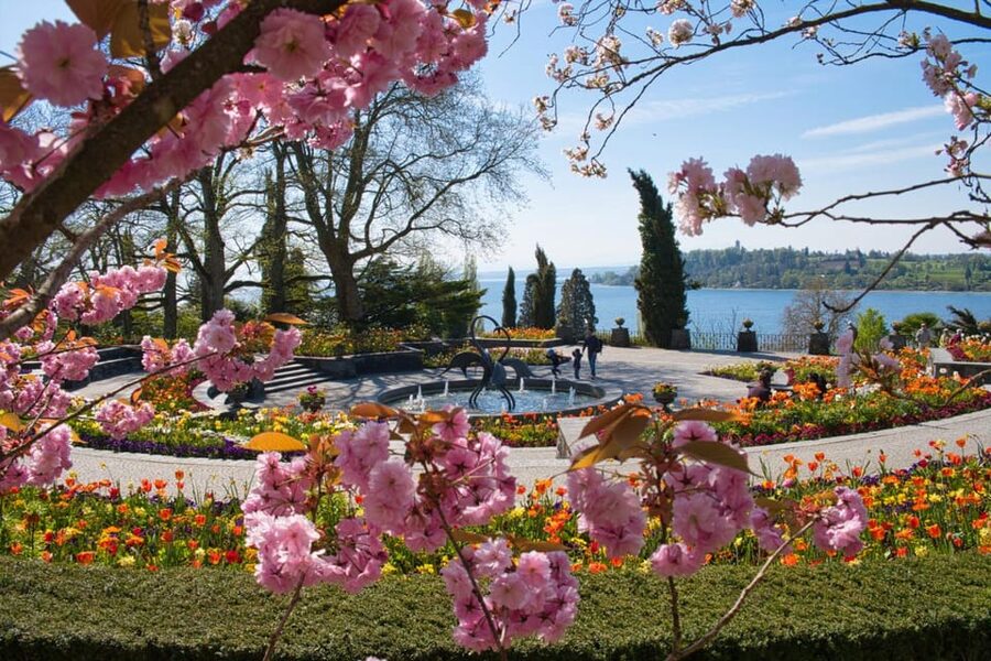 Konstanz: Mainau Island Entry Ticket - Value and timing: is $15 for Mainau a good deal?