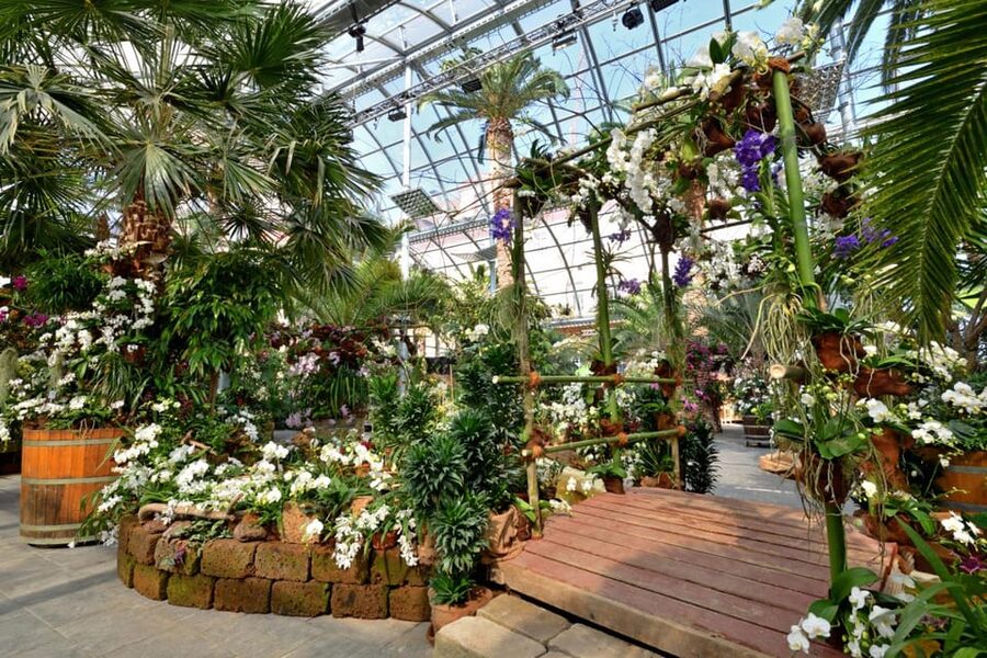 Konstanz: Mainau Island Entry Ticket - Mediterranean plants and the microclimate trick on Lake Constance
