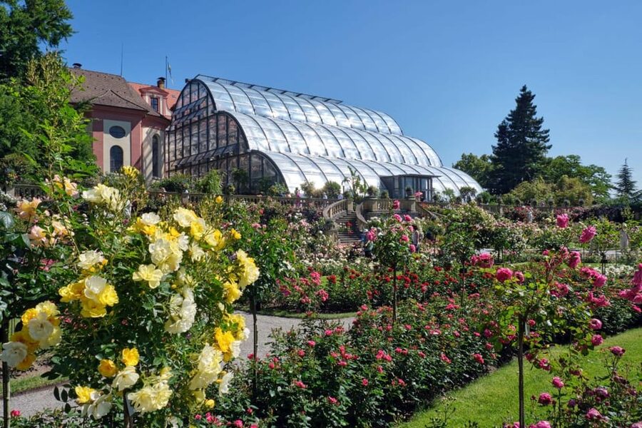 Konstanz: Mainau Island Entry Ticket - Teutonic castle and the St. Marien church: architecture for non-architects