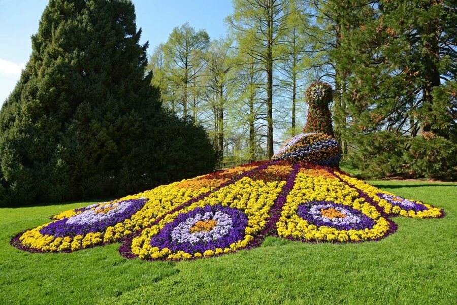 Konstanz: Mainau Island Entry Ticket - Summer vs winter expectations: what to do when the blooms change