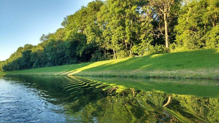 Leipzig: 2-hour Auwald Motorboat Tour - Electric motor on a 2-hour route: calm, not chaotic