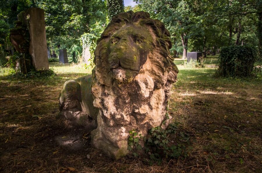 Leipzig Old Cemetery: 75-Minute Dark History Tour - Meeting Point by the Grassi Museum, Then You’re Off
