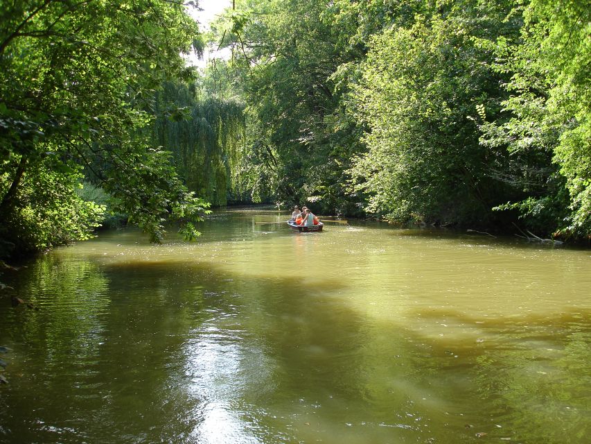 Leipzig: Riverside Forest Tour on the Pleiße - Leipzig floodplain forest biodiversity, explained in real time