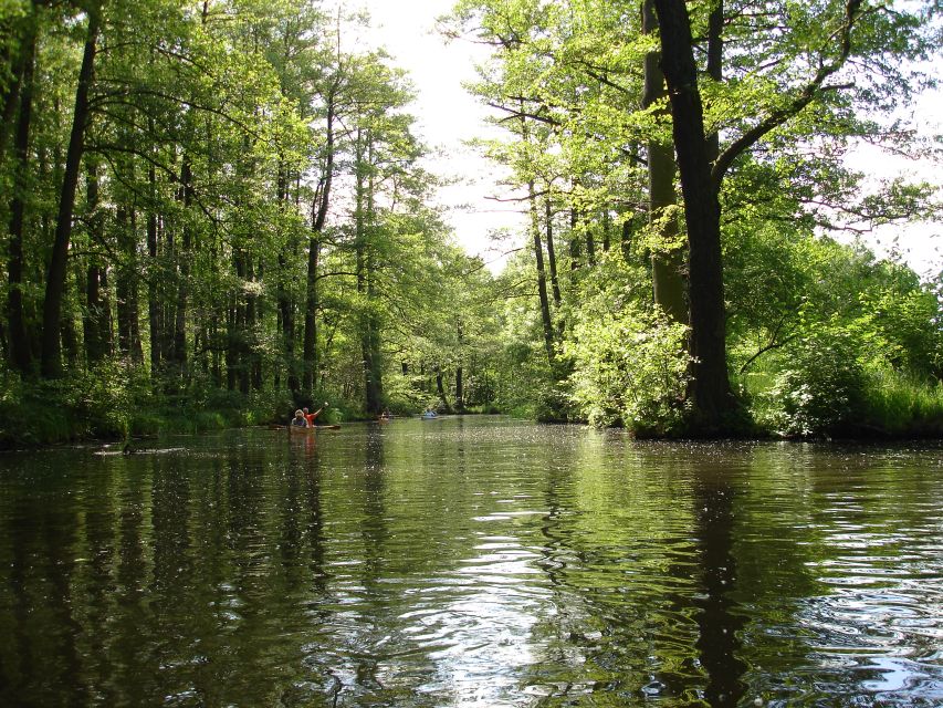 Leipzig: Riverside Forest Tour on the Pleiße - The guide, the language, and keeping expectations realistic