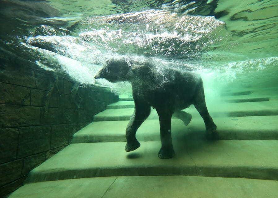 Leipzig Zoo: Entry Ticket - What’s included, what costs extra, and what to bring