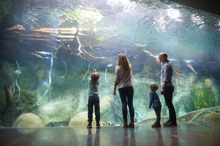 Leipzig Zoo: Entry Ticket - Who should book Leipzig Zoo for a one-day animal day