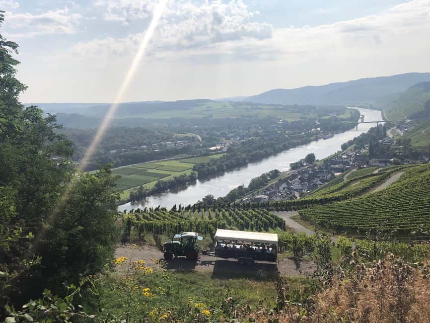 Lieser: Covered wagon ride, the rolling wine tasting with picnic basket - Lieser stop: wine, guided talk, free time, and a classic vineyard setting