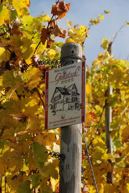 Lieser: Covered wagon ride, the rolling wine tasting with picnic basket - Wine tastings: what you’ll drink and how the tour handles preferences
