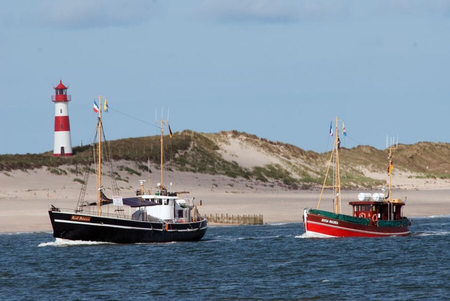 List/Sylt: Guided Seal-Watching Cruise on a Rustic Boat - How The 90 Minute Cruise Feels On The Wadden Sea