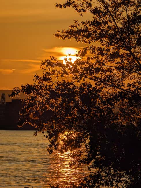 Mainz: guided evening tour of the Rhine embankment/old town in German and English - Theodor Heuss Bridge to Rheingoldhalle, getting your bearings fast