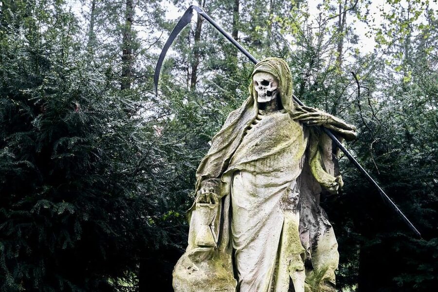 Melaten Friedhof: Guided tour with all senses - Key highlights I think you will care about