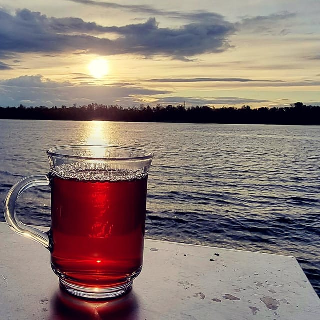 Mulled wine ride in the Leipzig New Zealand - A Cozy Pre-Christmas Boat Ride on Lake Cospuden