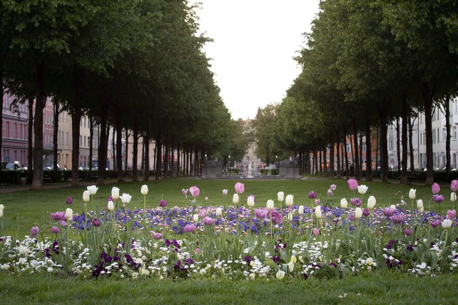 Munich: 3-Hour Food Tour Through Haidhausen in GERMAN - Former hostel buildings: seeing past uses in present streets