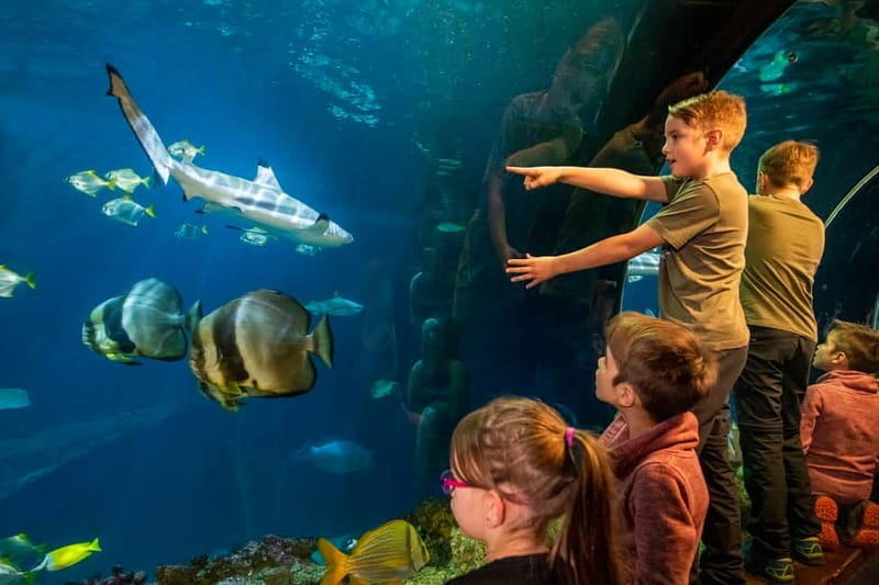 Munich: Day Ticket to Sea Life - SEA LIFE Munich at Olympiapark: full-day value in a city setting